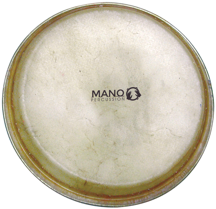 Mano Percussion | TDH310 | Djembe Head | Natural Mano Percussion | TDH310 | Djembe Head | Natural